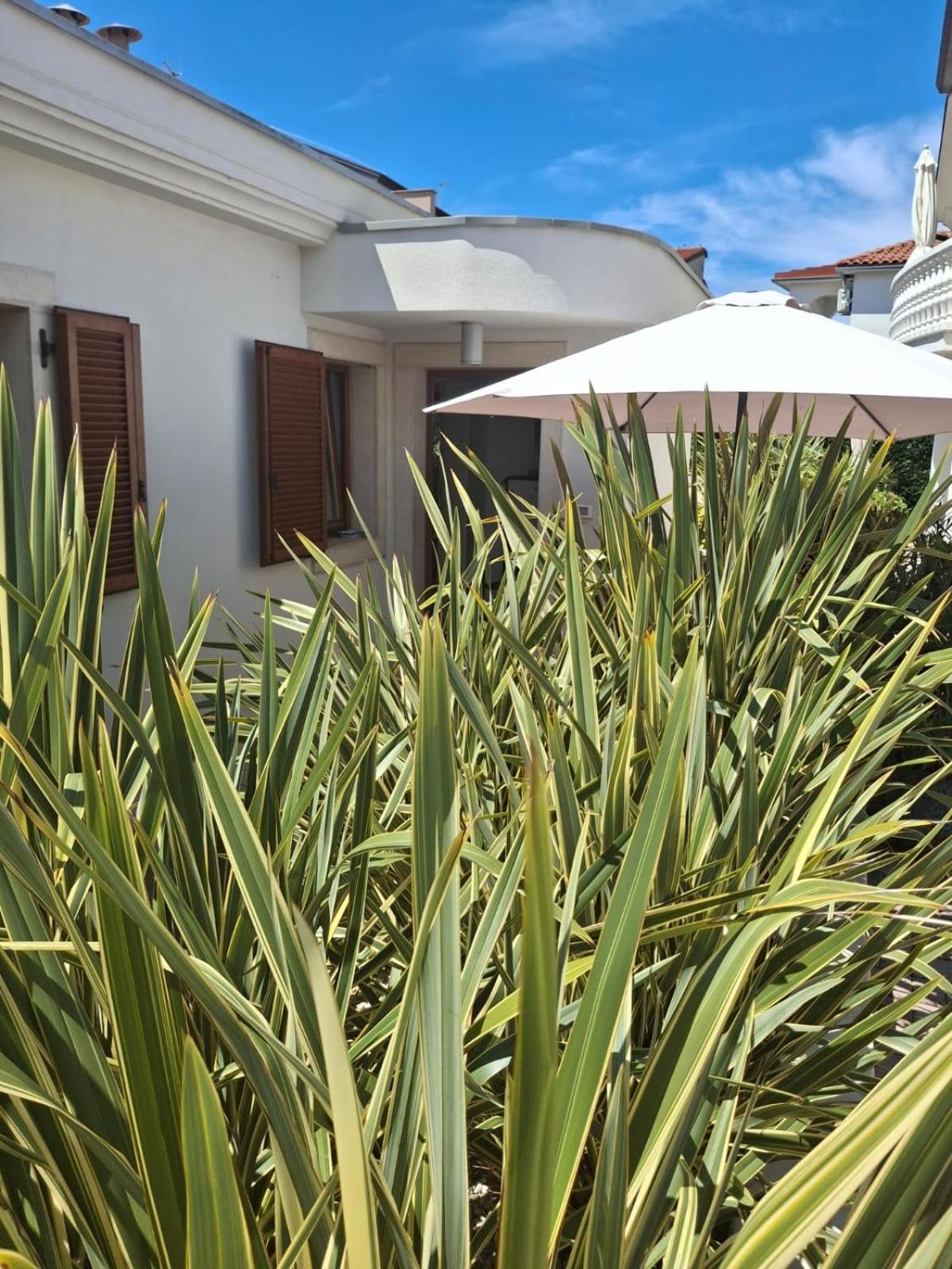 Apartments Leona Umag Exterior foto